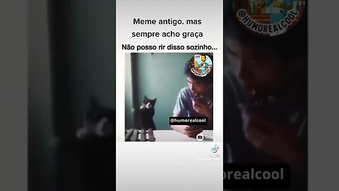 meme antigo, sempre acho graça #samsung #gato #pet #toquedetelefone #musica #humor #comedia #meme