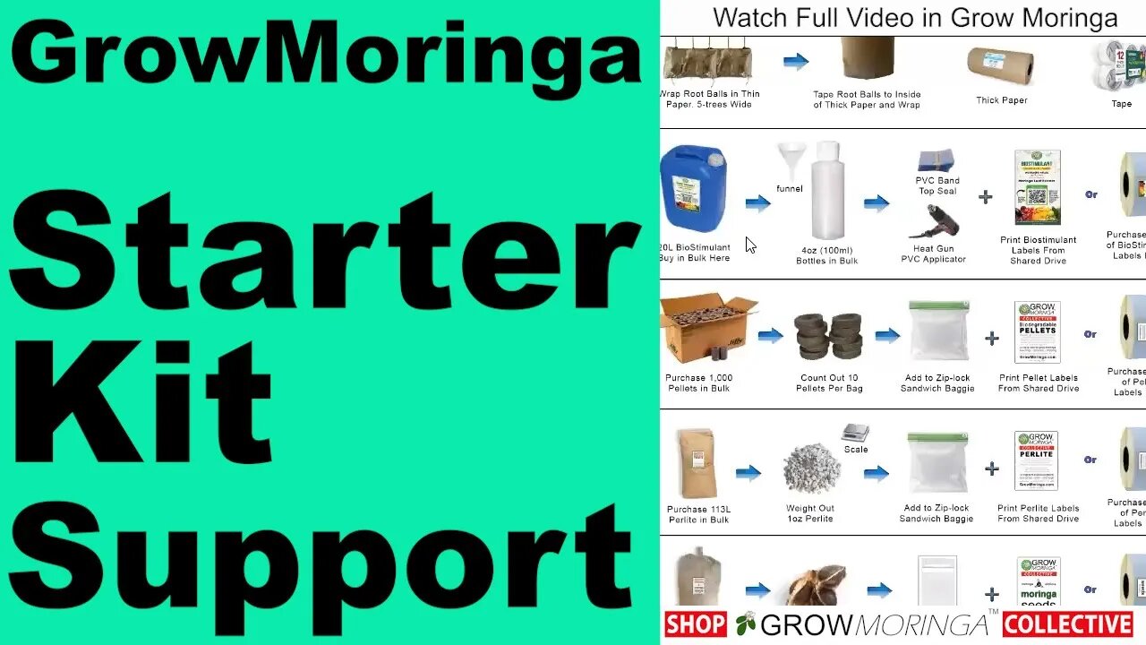 Selling Your Moringa Trees | Ship Trees in the Starter Kit | Fulfillment by Members | Make a Living