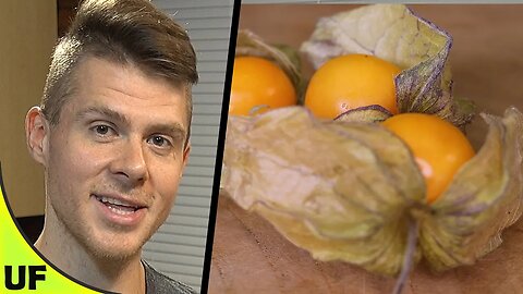 Golden Berry Taste Test | Unusual Foods