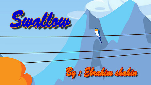 swallow (short animation)