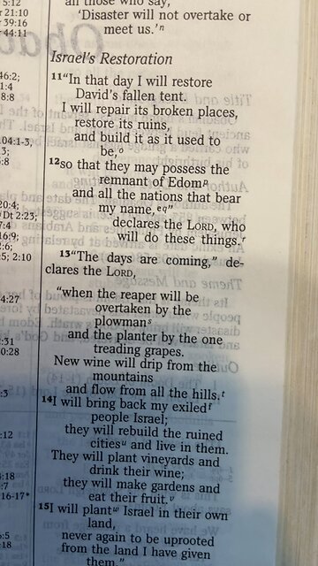Israel 🇮🇱’s Restoration Amos 9:11-15