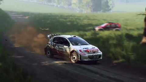 DiRT Rally 2 - Replay - Peugeot 206 at Czarny Las