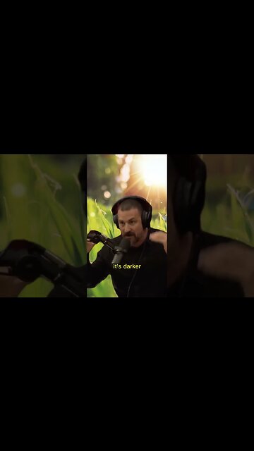 Spring fever - The power of sun light - Joe Rogan & Andrew Huberman #shorts