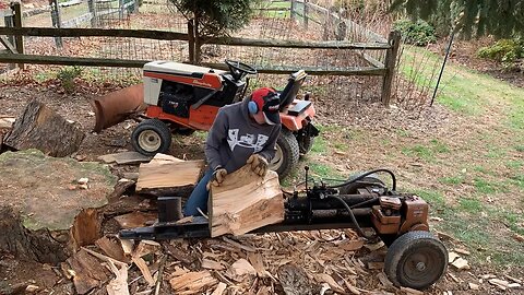 Splitting Large Knotty Hemlock!