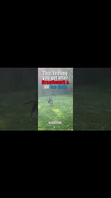 That Feeling You Get After Breathwork & Cold Plunges