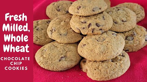 Chocolate cookies using fresh milled soft white wheat