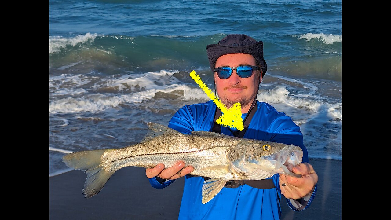 Beach SNOOK Love This Lure! #fishing