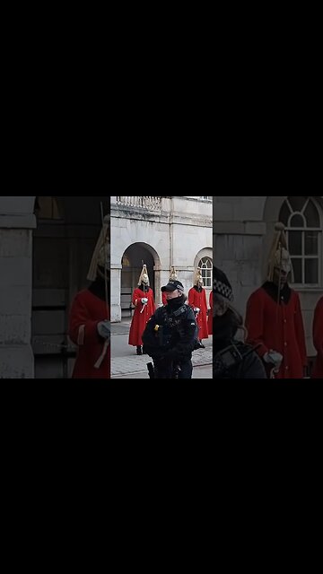 Stand at ease inspection #horseguardsparade