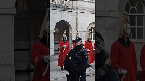 Stand at ease inspection #horseguardsparade