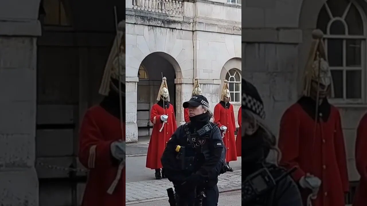 Stand at ease inspection #horseguardsparade