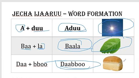 Jecha Ijaaruu/Word Information.