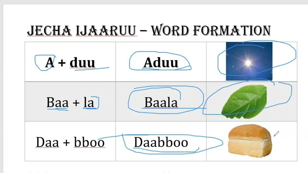 Jecha Ijaaruu/Word Information.