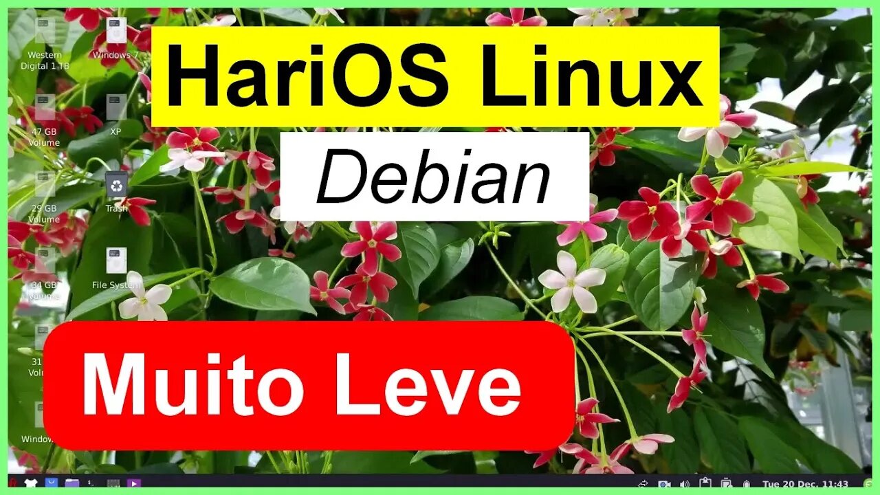 HariOS é uma distro estável minimalista baseada no Debian.