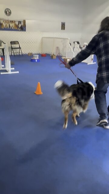 Scent practice 5/5/24.