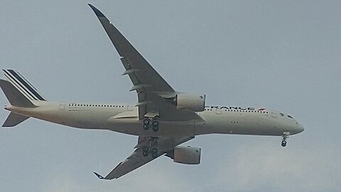 Boeing 737-800 PR-GUU en provenance de Guarulhos,Airbus A350 F-HUVI de Paris à Fortaleza