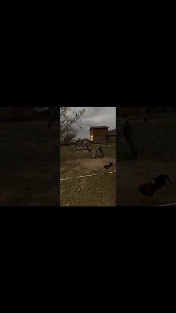 Beautiful Morning @ LivingWaterFarms247