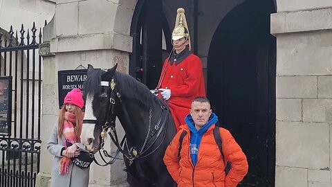 Touching the reigns #horseguardsparade