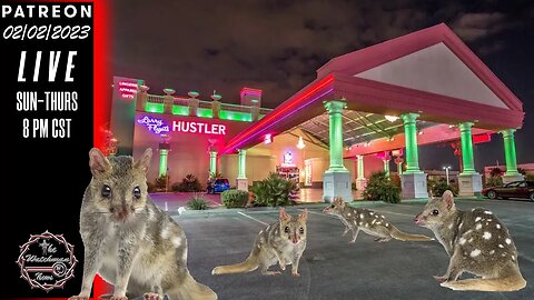 The Watchman News - Endangered Animal May Be Mating Itself To Death - We Have To Do Something! 😂😂😂