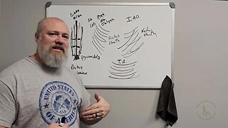 Anterolateral Abdominal Wall Part 1: Muscles