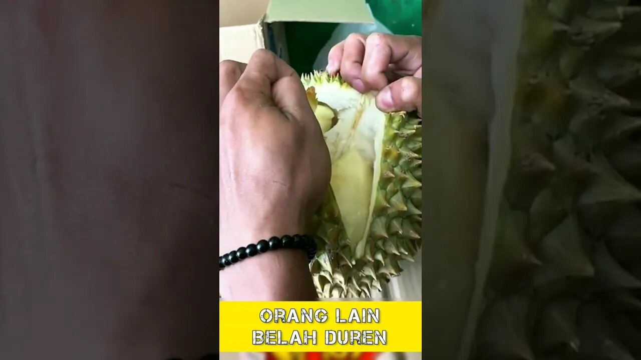 Belah Duren 2023 - I Sigma #youtube #youtubeshorts #sigmarule #sigma #sigmamale