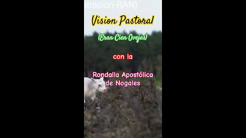 Eran Cien Ovejas | Vision Pastoral | Las 100 Ovejas