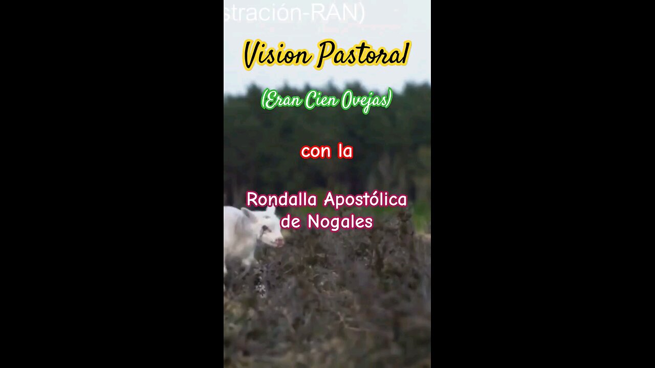 Eran Cien Ovejas | Vision Pastoral | Las 100 Ovejas