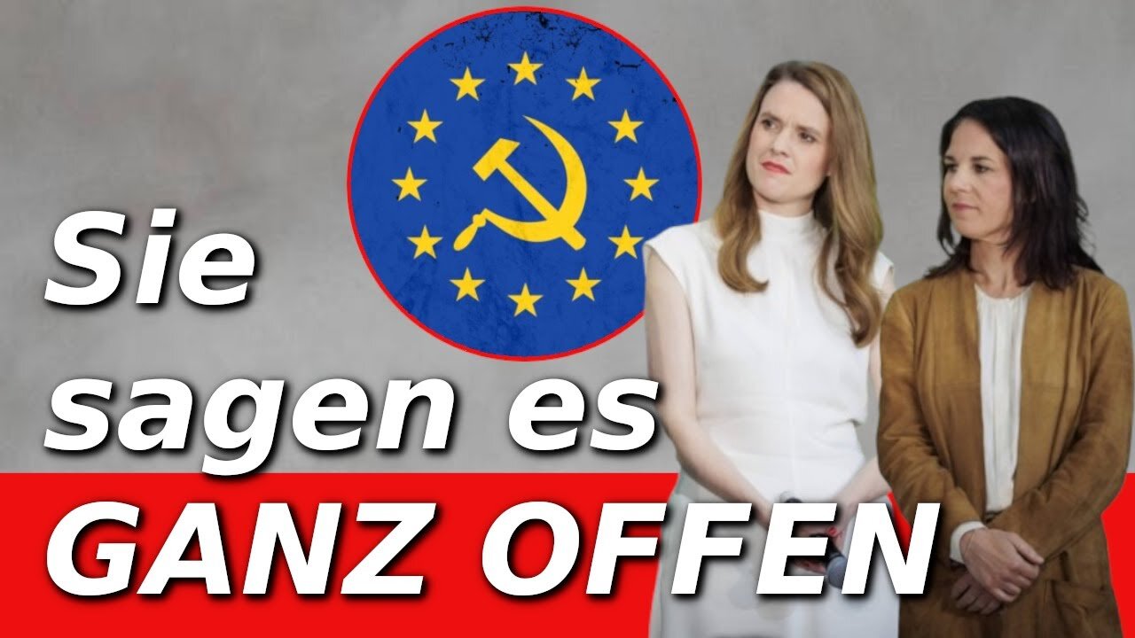 Was die Wahl der Grünen für die EU bedeuten würde@kitchen news🙈