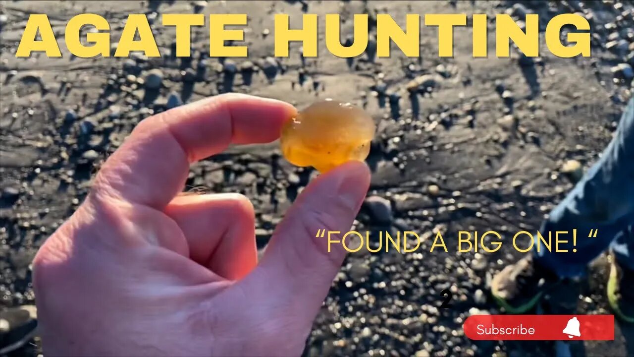 Agate hunters northwest! West beach Whidbey Island “hot” agate hunting ground!