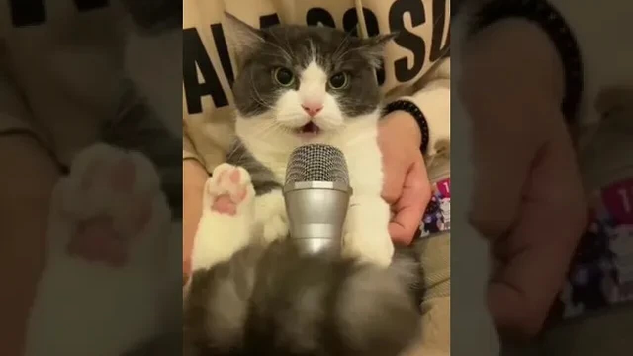 Starting February 1st, public address systems will change the sound to this one.