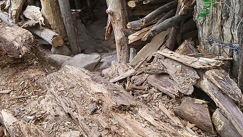 Cedar 2 Story Tree Fort