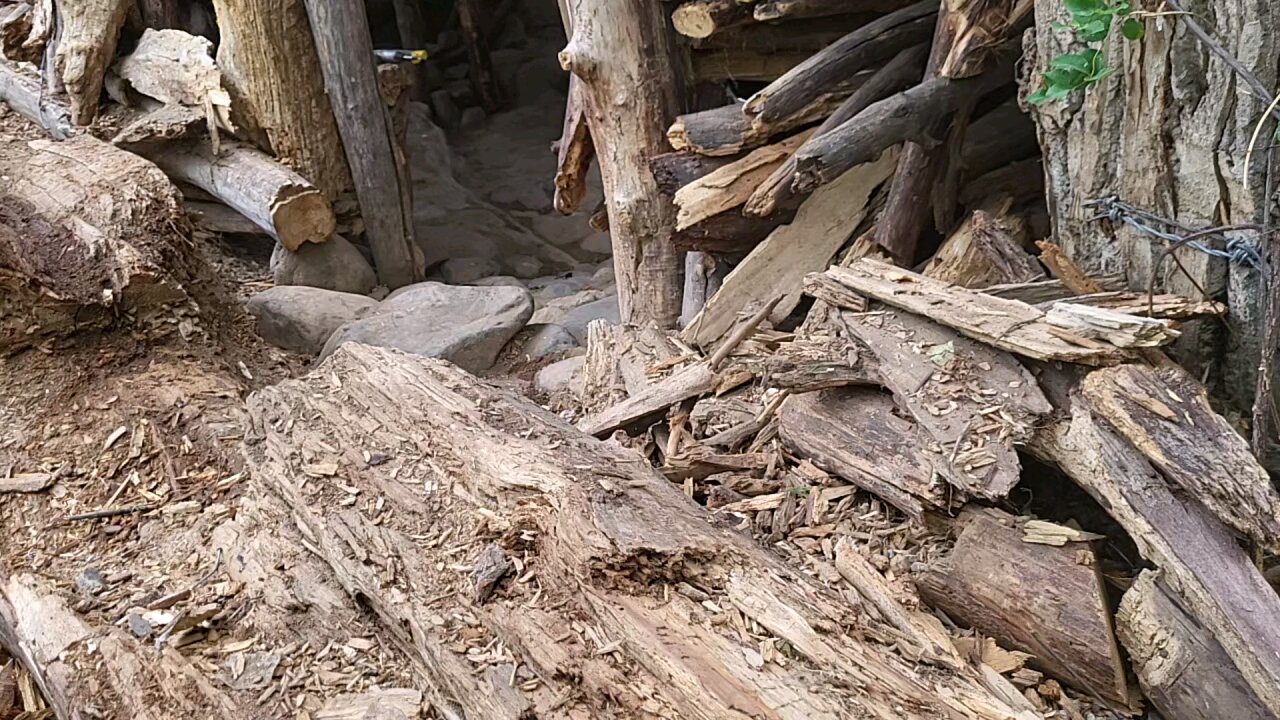 Cedar 2 Story Tree Fort