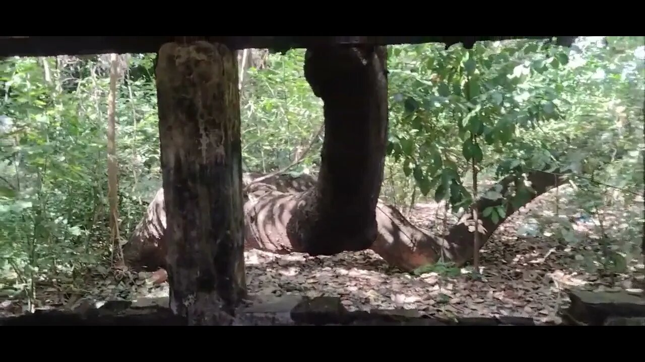 A Mulher da Casa Abandonada