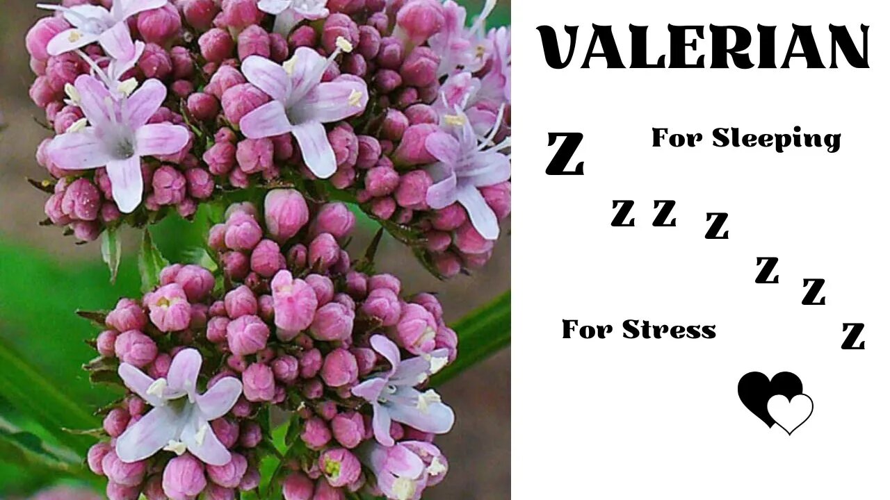 Valerian Zzzzzzz