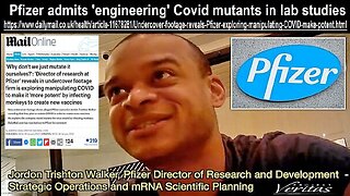 Project Veritas Pfizer Director Assaults James O'Keefe & Veritas Staff