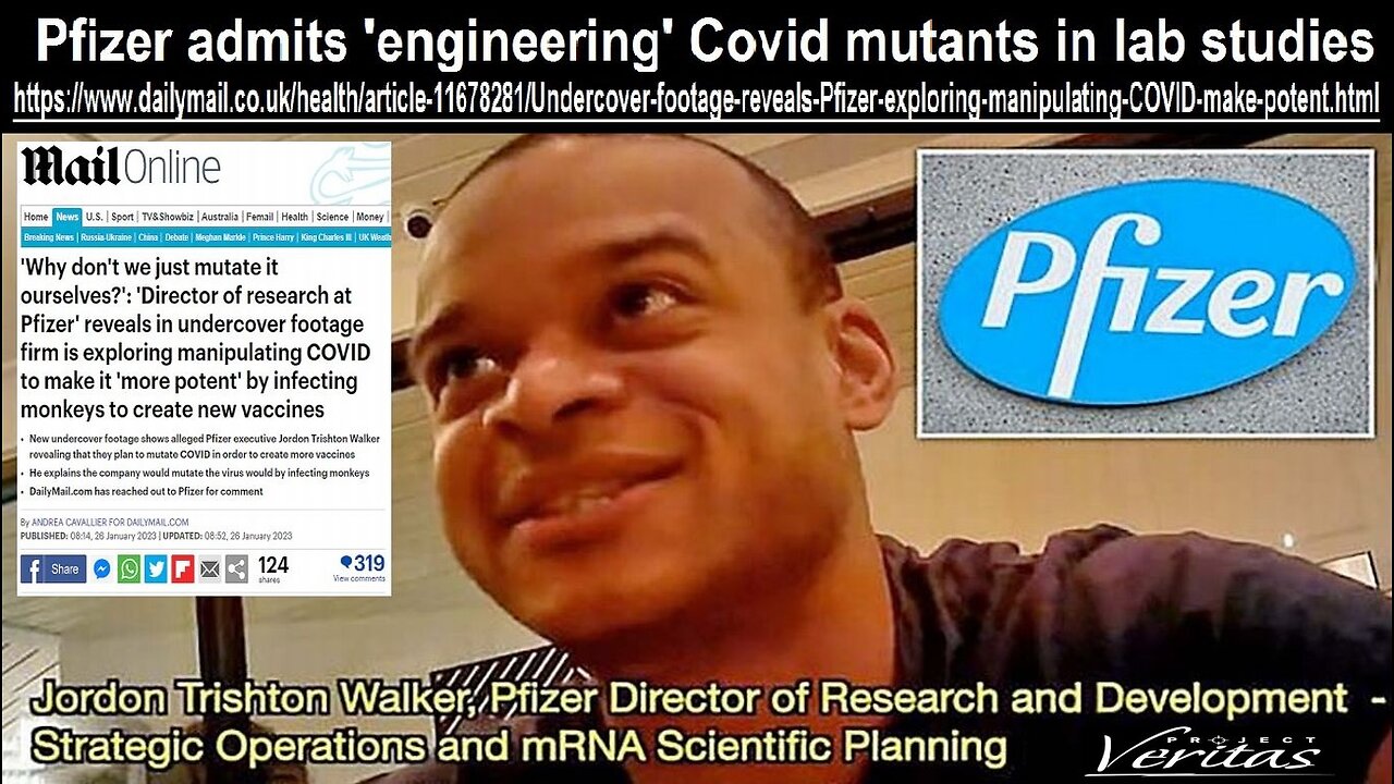 Project Veritas Pfizer Director Assaults James O'Keefe & Veritas Staff