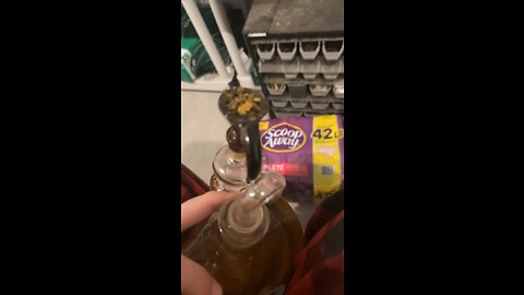 Day 3 Okay so no videos like I had on youtube lol