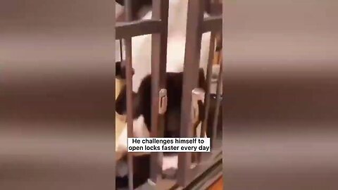 Animals Funny 🤣🤣