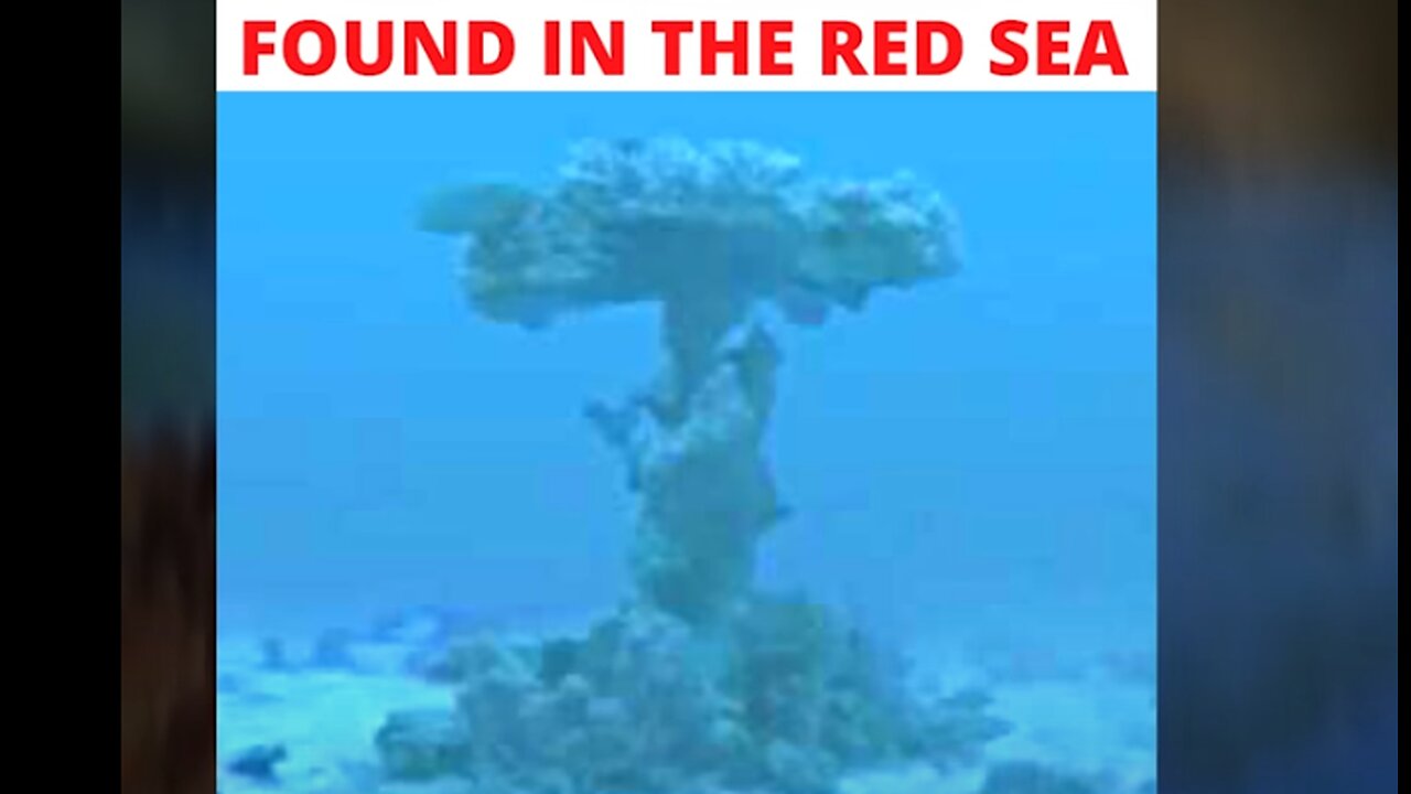 What's At The Bottom Of The RED SEA? PROOF!