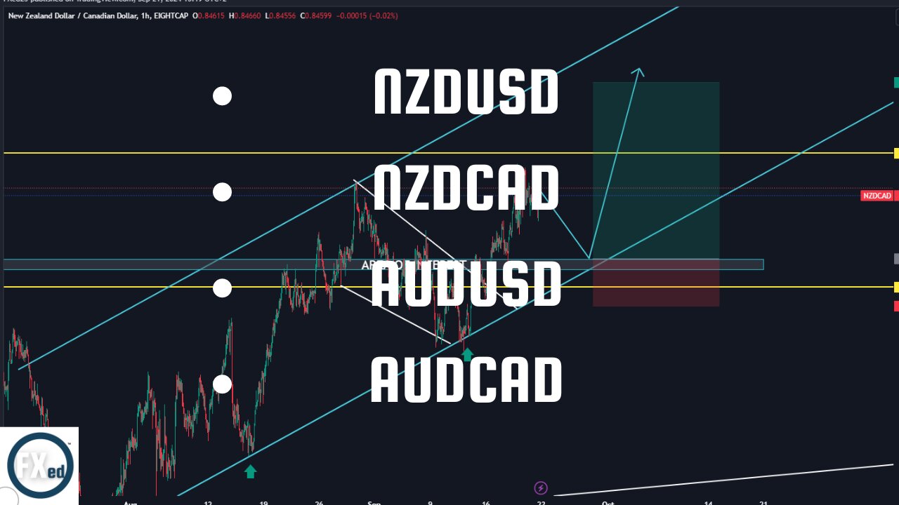 LIVE CHART ANALYSIS NZDUSD, NZDCAD, AUDCAD, AUDUSD For WEEK(23 SEP 2024- 27 SEP 2024) Free Signals