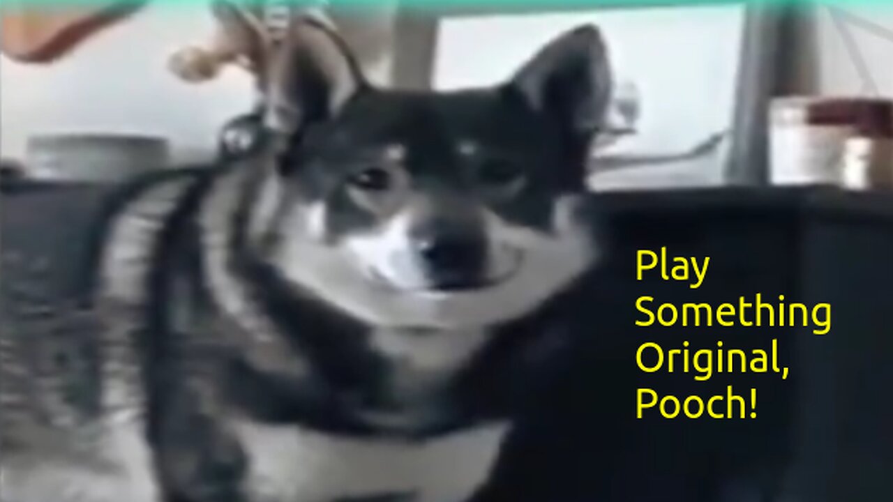 Piano-Dog Plays and Sings, DOG-GONNIT, For Its Master