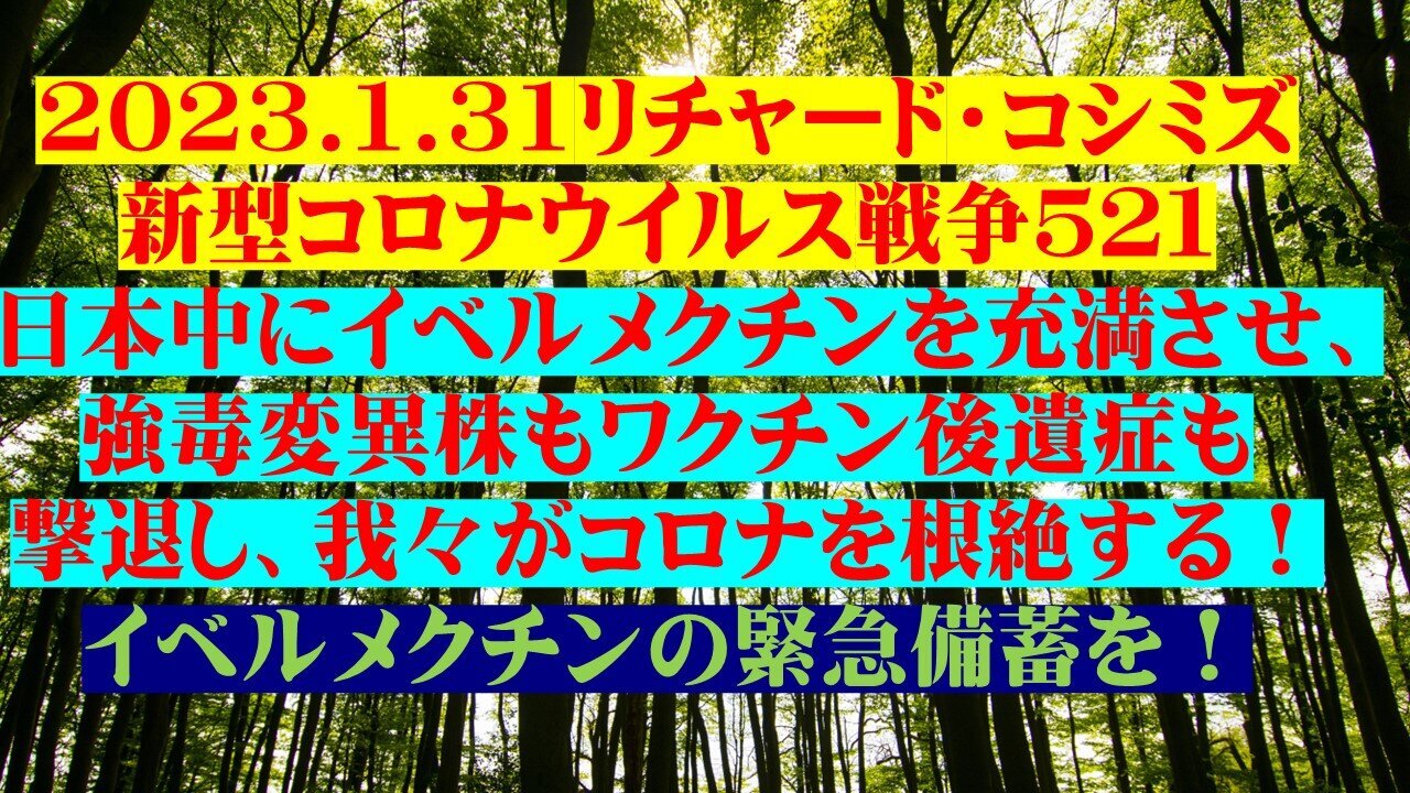 2023.01.31 リチャード・コシミズ新型コロナウイルス戦争521