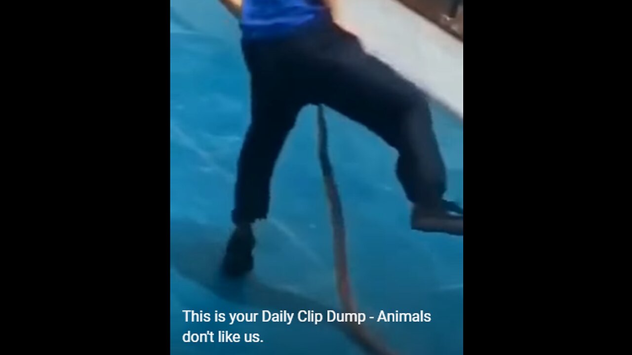 Animals dont like US!