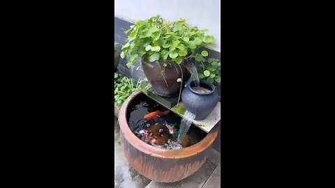 Diy garden fountains, Garden pond design, Small water gardens