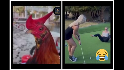 funny fails