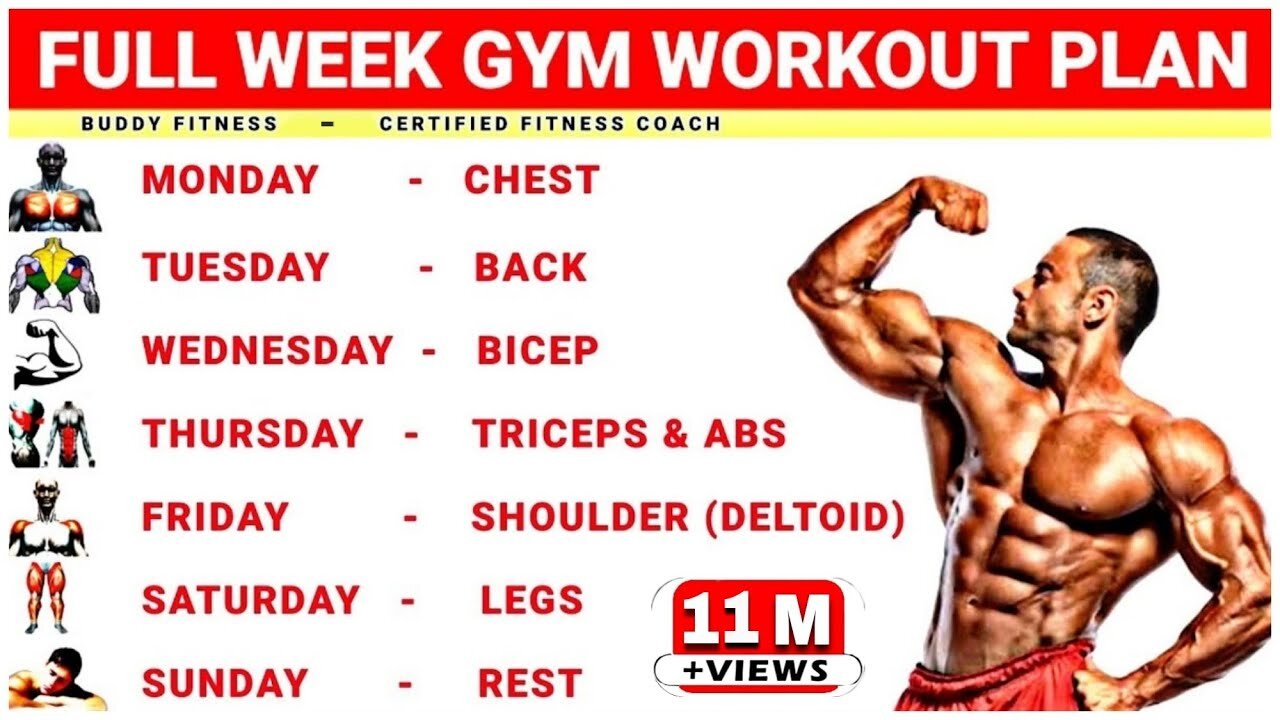 Full Week Gym Workout Plan - Gym Workout - Buddy Fitness