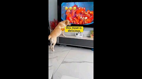 Dog attempt to commit sucied