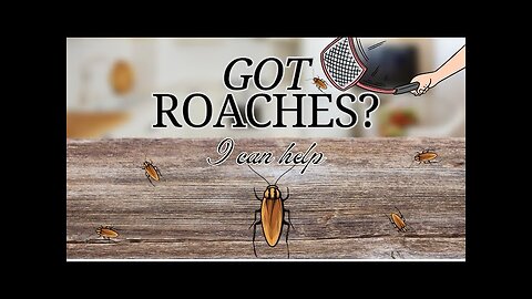 German Cockroach 101: Identification, Treatment, and Prevention Tips