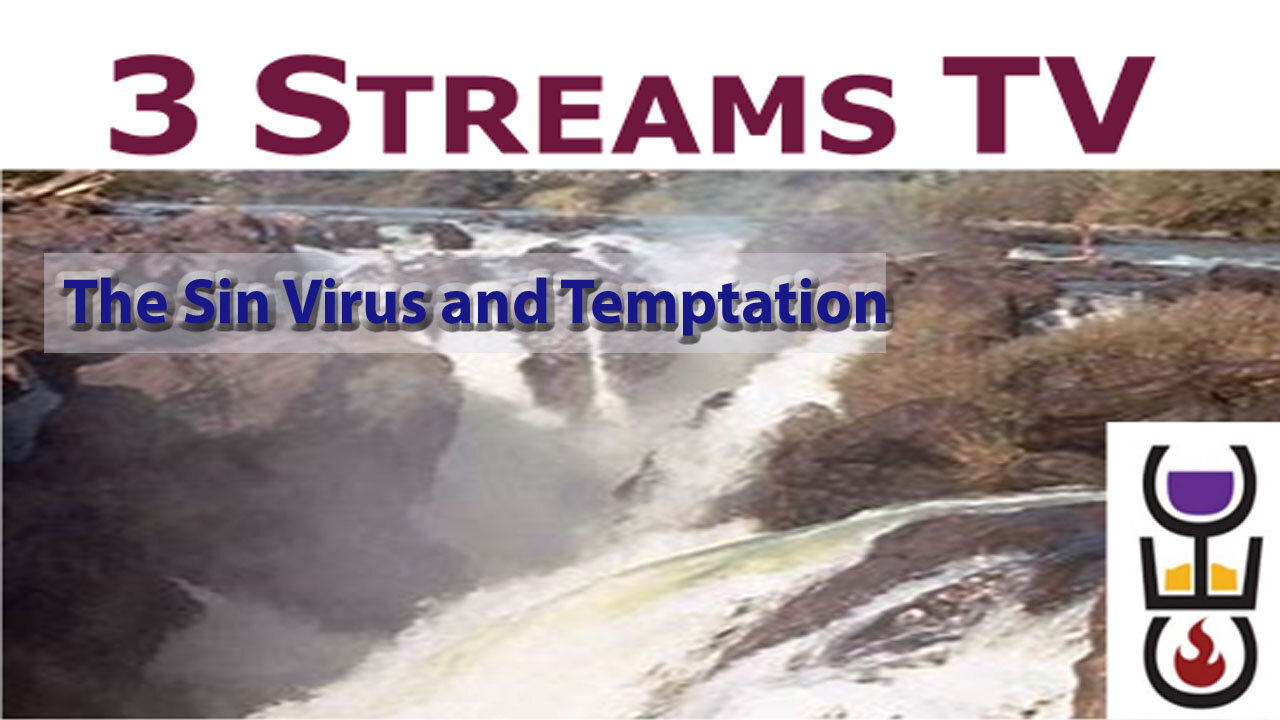 The Sin Virus and Temptation