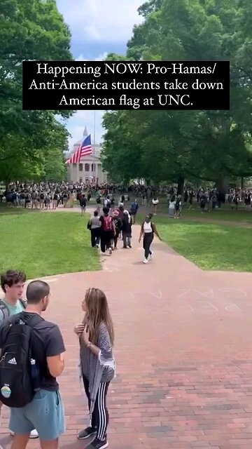 Welcome to the New USA! Where you can replace American flag with Palestinian with NO consequences!