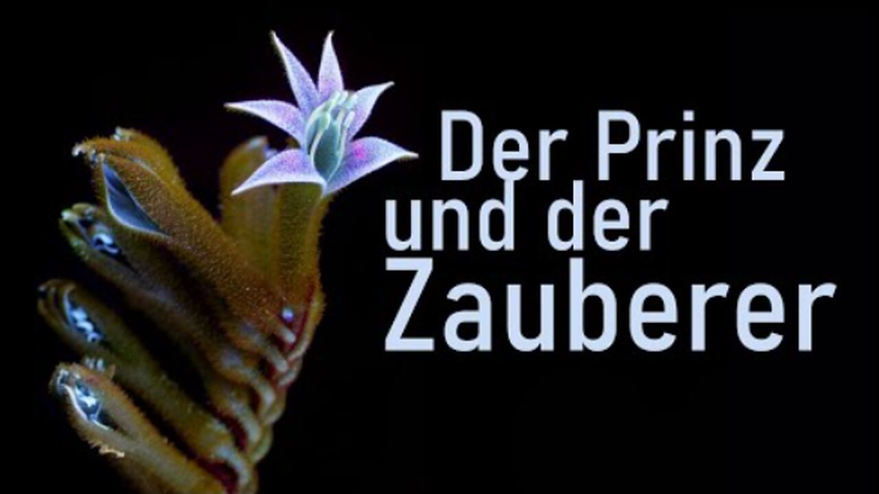 Der Prinz und der Zauberer - Was ist Wirklichkeit